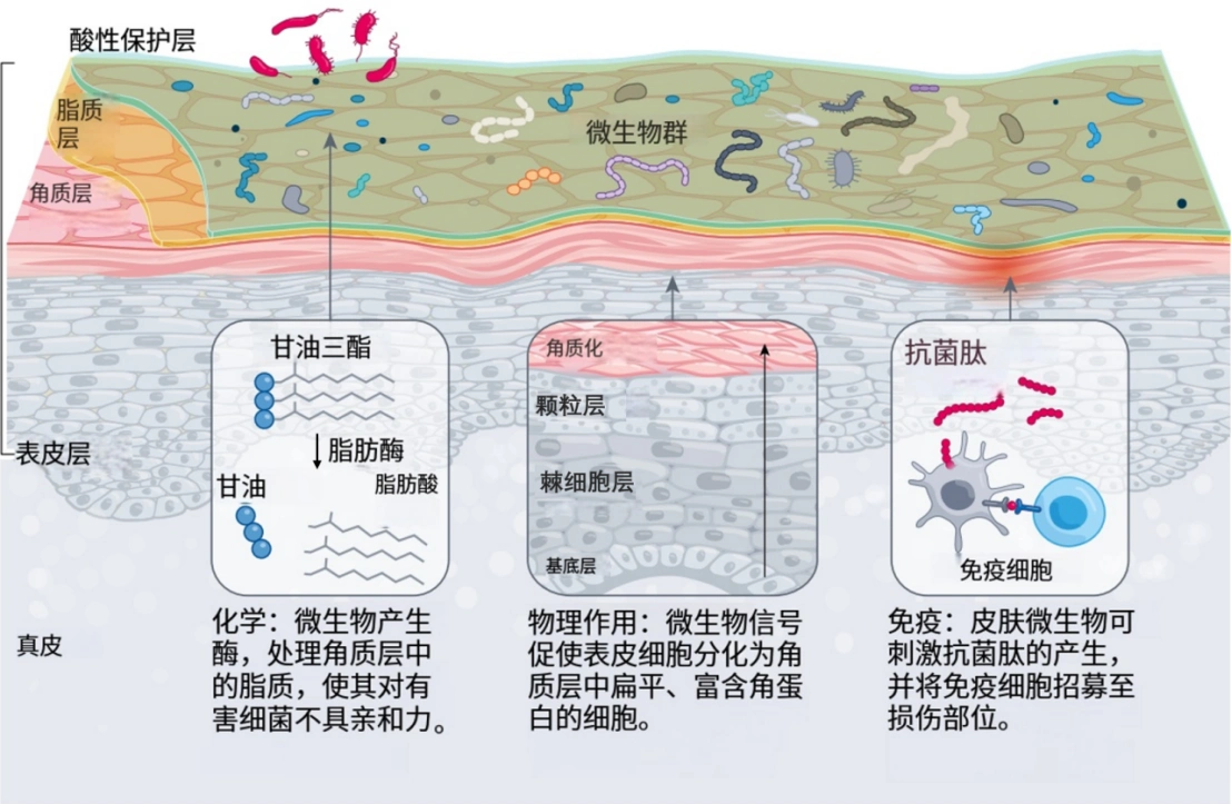你的护肤方式选对了吗？日常护理先做好这3件“小事”