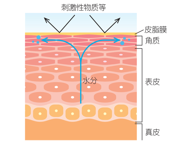 健康肌维稳_皮肤屏障受损 修护 保养